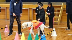 盲導犬キャラバン2