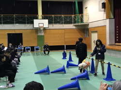 盲導犬キャラバン教室