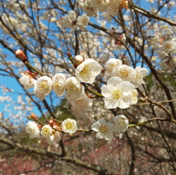3ҏWL
