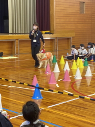 盲導犬キャラバン教室