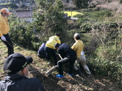 萩LC認証60周年記念大会 記念事業涙松周辺雑木伐採撤去